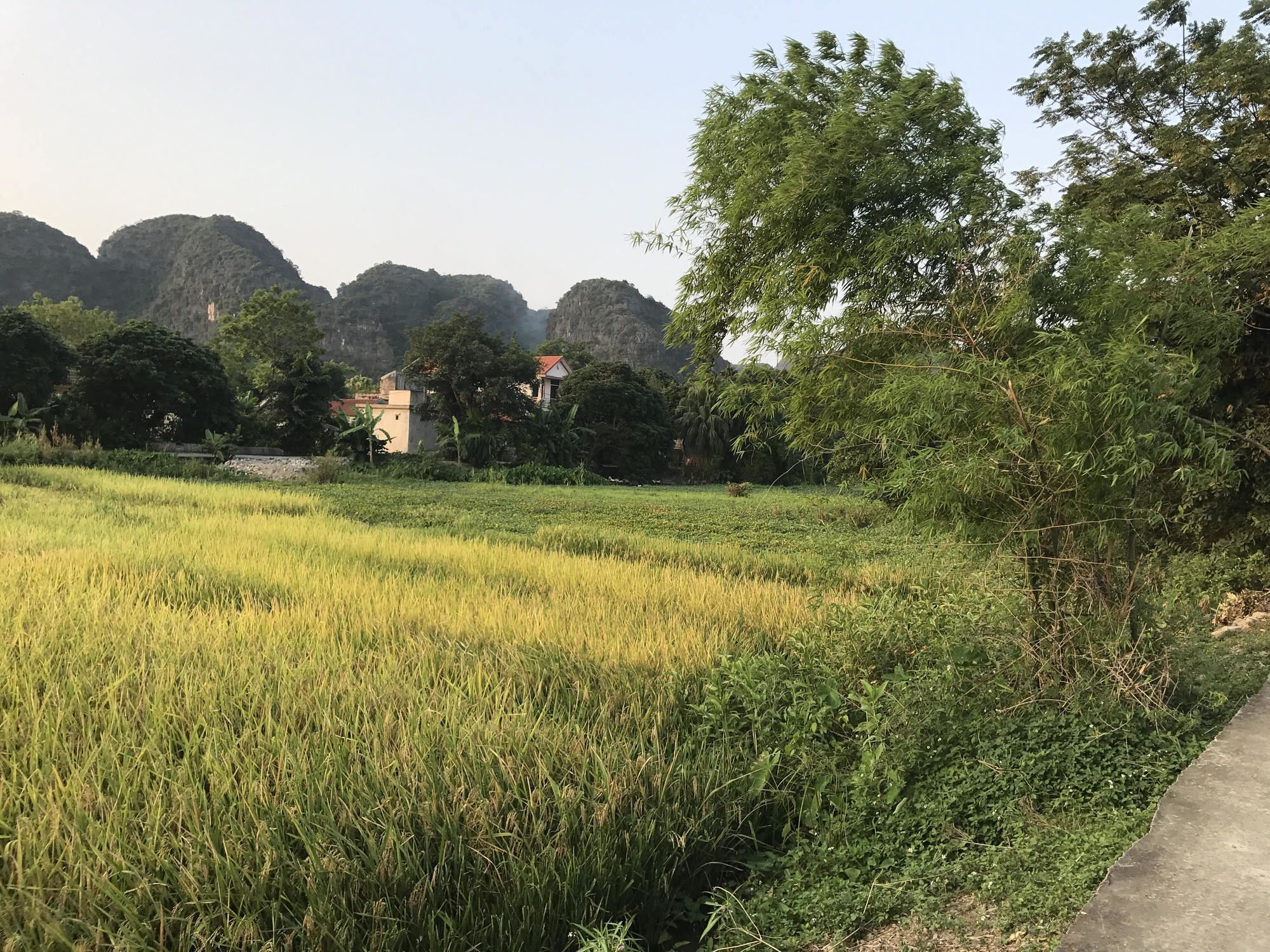 Tam Coc Garden Homestay Ninh Bình Kültér fotó