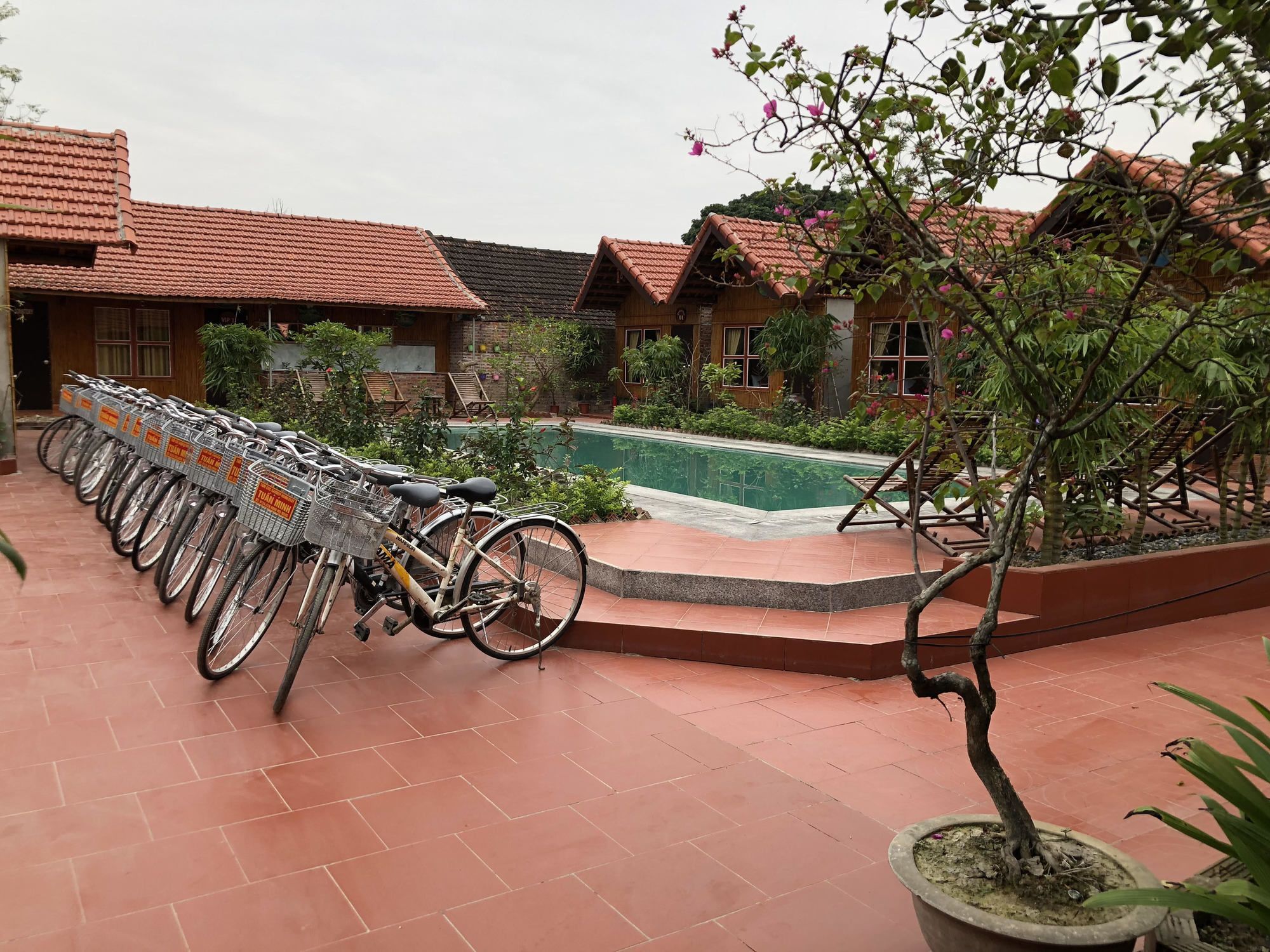Tam Coc Garden Homestay Ninh Bình Kültér fotó