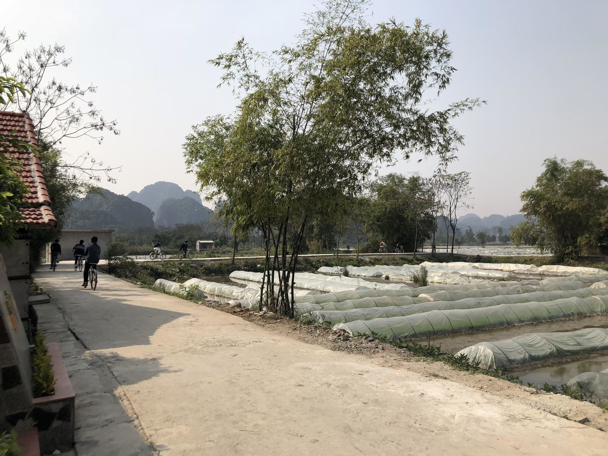 Tam Coc Garden Homestay Ninh Bình Kültér fotó