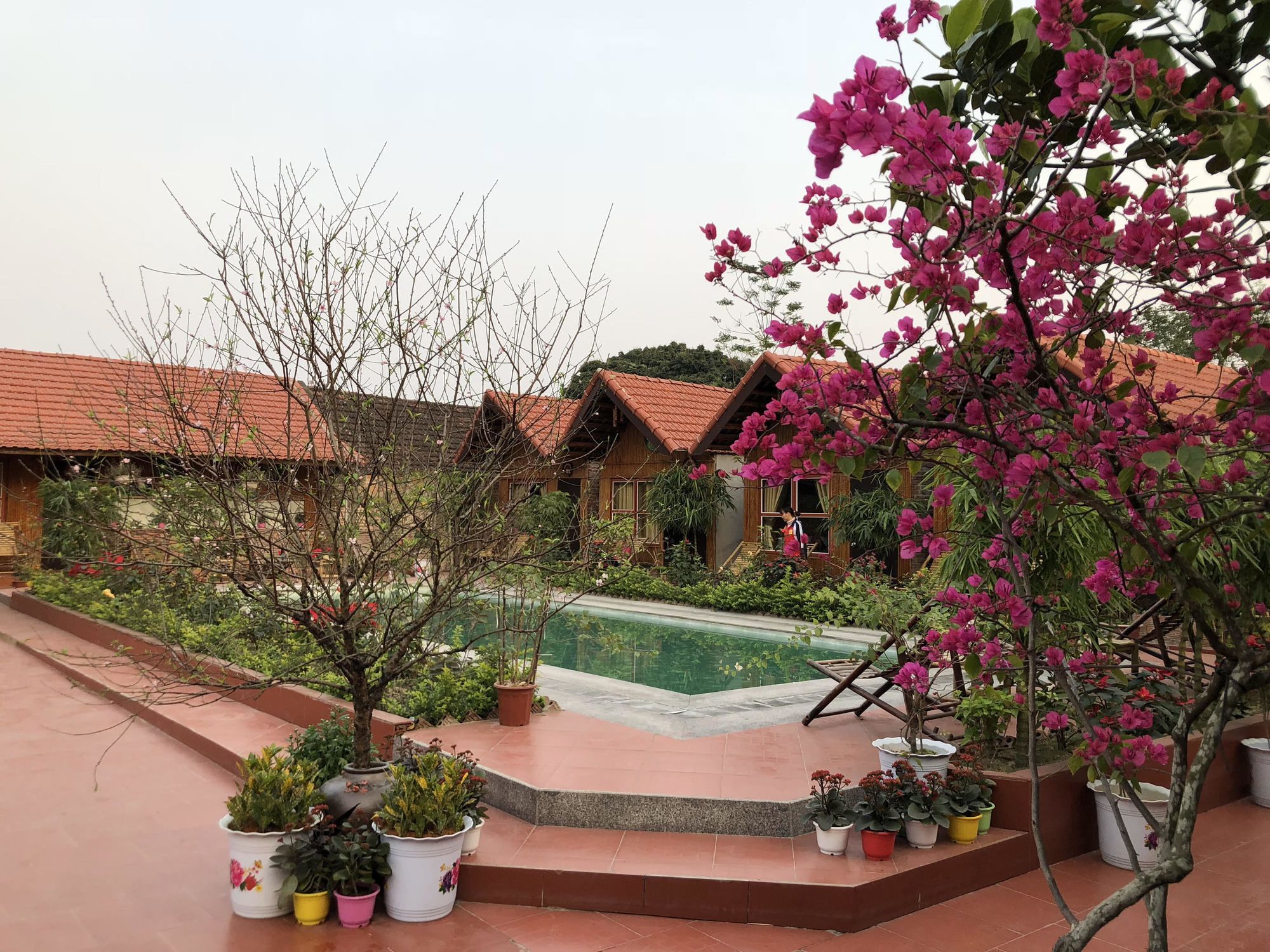 Tam Coc Garden Homestay Ninh Bình Kültér fotó